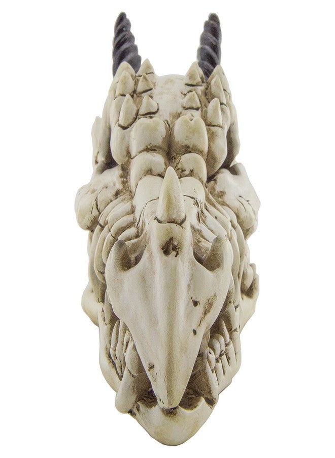 EX ELECTRONIX EXPRESS Snarling Magical Dragon Skull Treasure Trinket Box - Image 2